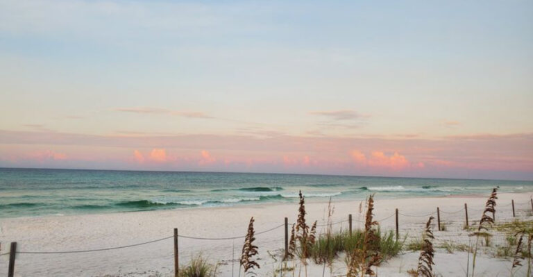 Why Grayton Beach State Park Is One of the Most Unique Places in Florida