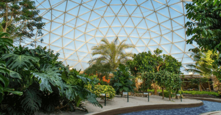 You Can Explore the Future of Food and Farming at This Unique Orlando Attraction