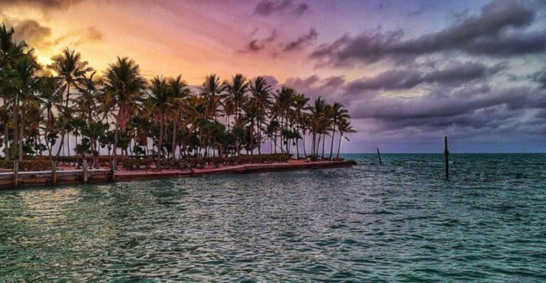 You Go for the Views but Stay for the Food on These 13 Florida Islands