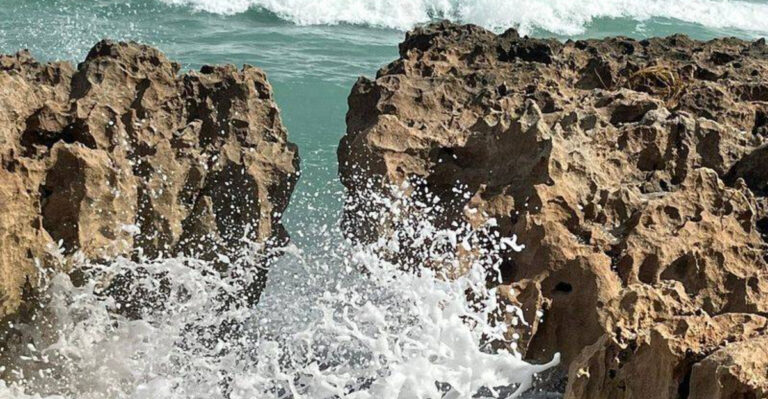 You Won’t Believe These 8 Surreal Natural Wonders Are Actually in Florida