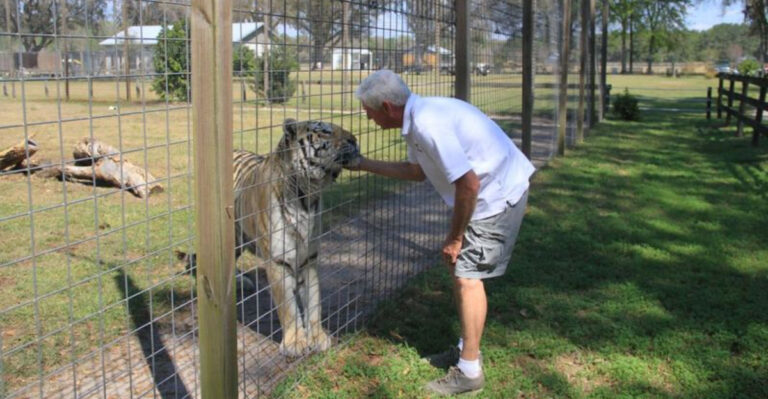 You’ll Find Over 100 Rescued Big Cats, Lemurs, Hyenas, and More on This Florida Farm