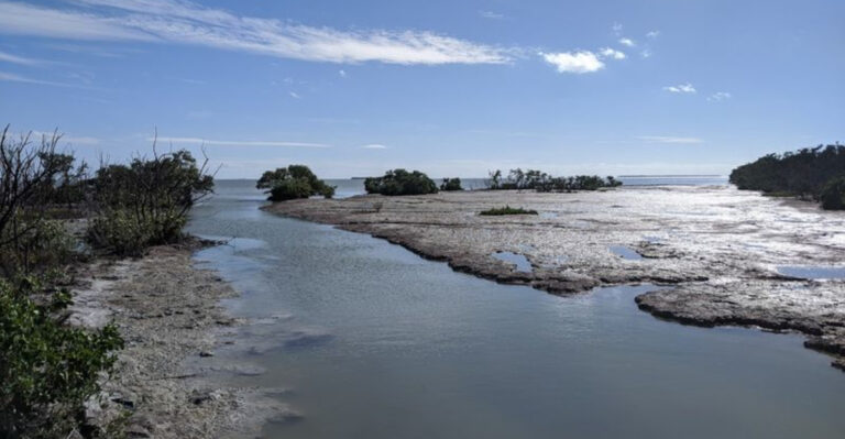 10 Hidden Everglades Spots In Florida That Feel Wild, Quiet, And Untouched
