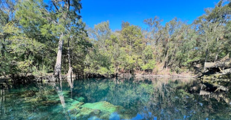 10 Hidden Florida Swimming Holes That Feel Like Local Secrets