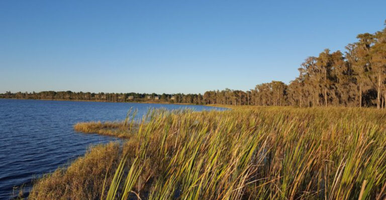 10 Hidden Lakes in Florida That Are Perfect for a Quiet Escape