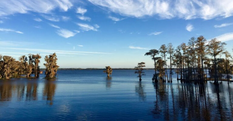 11 Florida Lakeside Getaways That Feel Especially Dreamy In Spring