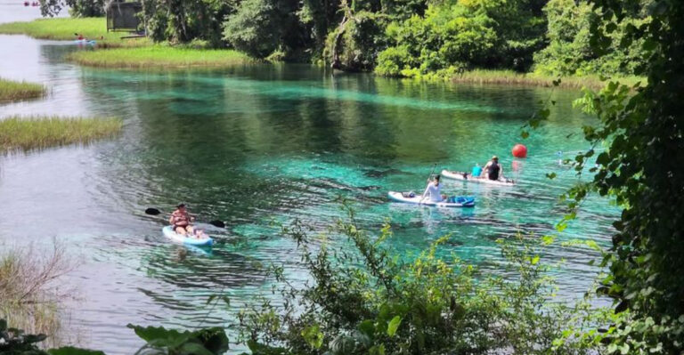 11 Florida Springs Worth Visiting Before Summer Turns Up The Heat