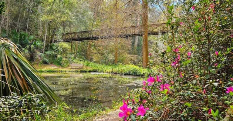 11 Florida Trails Perfect for Spotting Wildflowers During Spring