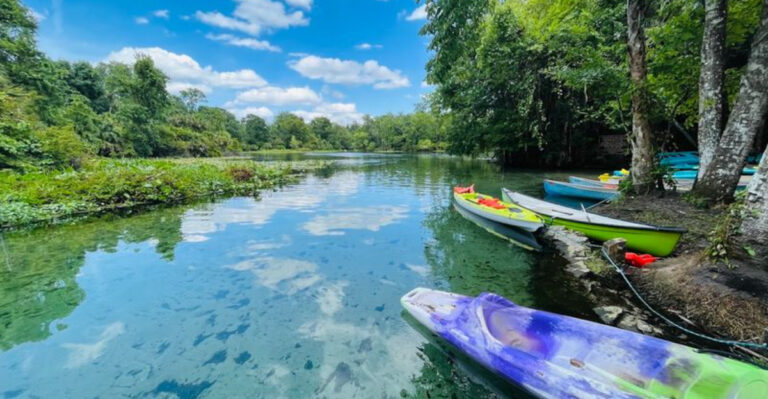 11 Peaceful Spots in Florida Where You Can Slow Down and Soak Up Nature’s Beauty