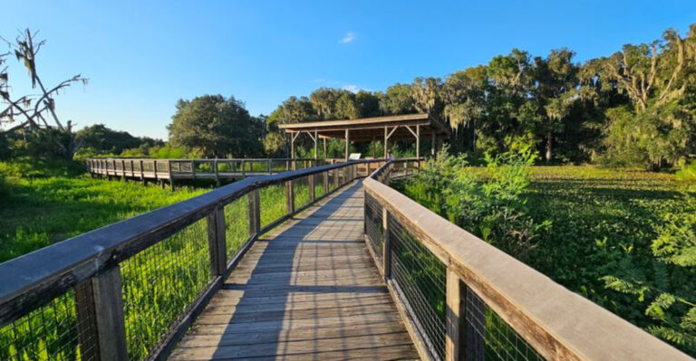 11 Quiet Florida Trails Perfect for an Early Morning Walk