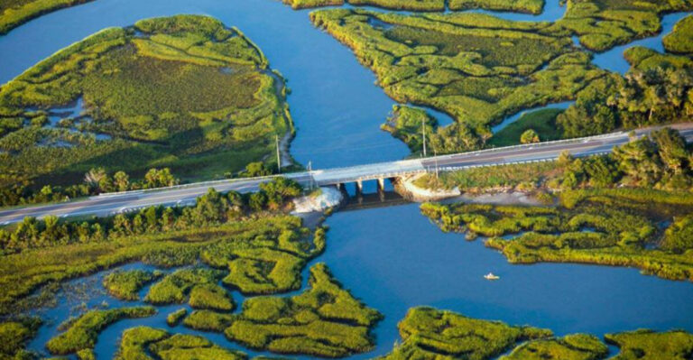 11 Scenic Florida Drives That Turn a Simple Trip Into a Sun-Soaked Adventure