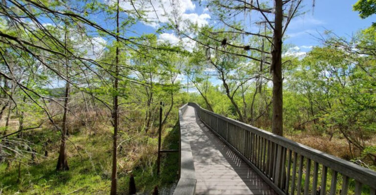 12 Easy Florida Nature Walks That Even The Kids Will Enjoy