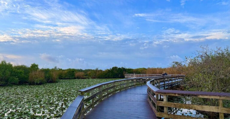 12 Florida Outdoor Attractions That Feel Better Before Summer Arrives