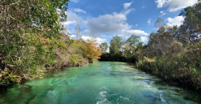 13 Florida Rivers That Prove the Beach Isn’t the Only Place to Cool Off