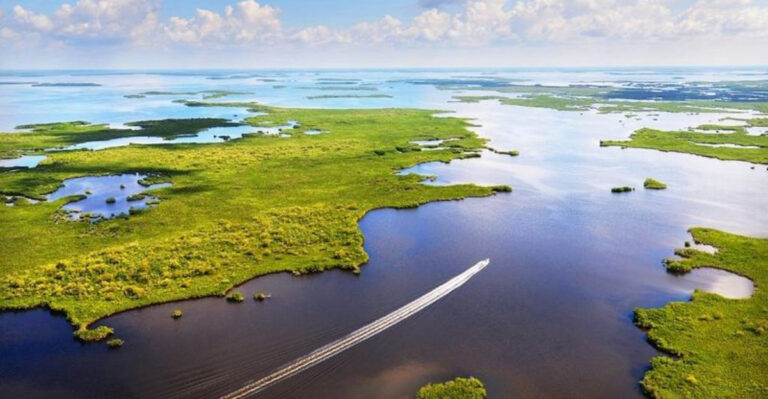 14 Florida Vacation Ideas That Go Beyond the Usual Beach Day