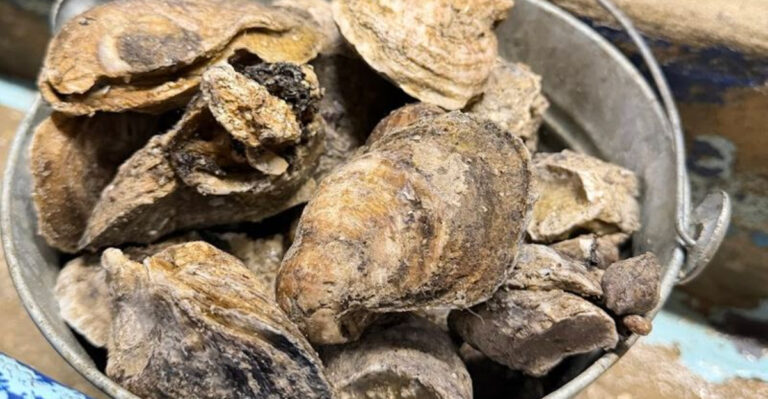 14 Laid-Back Florida Seafood Joints Serving Food That’s Out Of This World