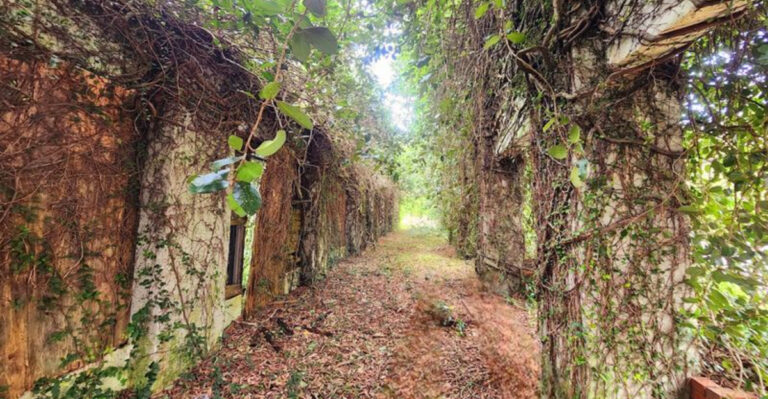 8 Florida Ghost Towns That Reveal a Forgotten Side of the Sunshine State