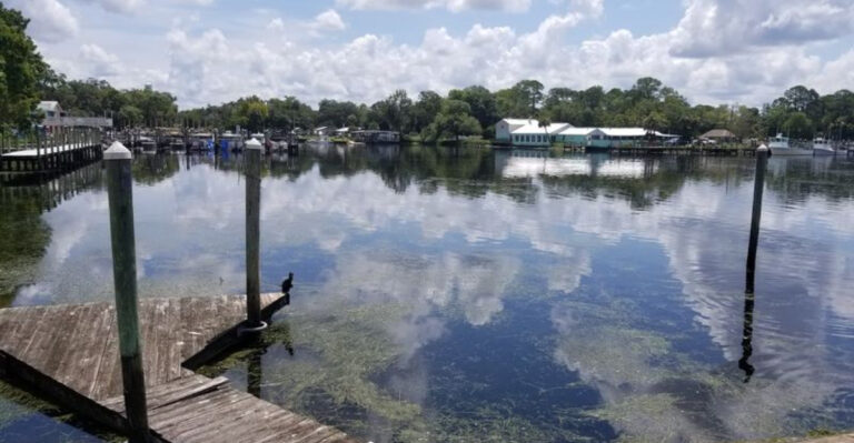 8 Incredible Small Towns In Florida Where Nature Practically Knocks On Your Door