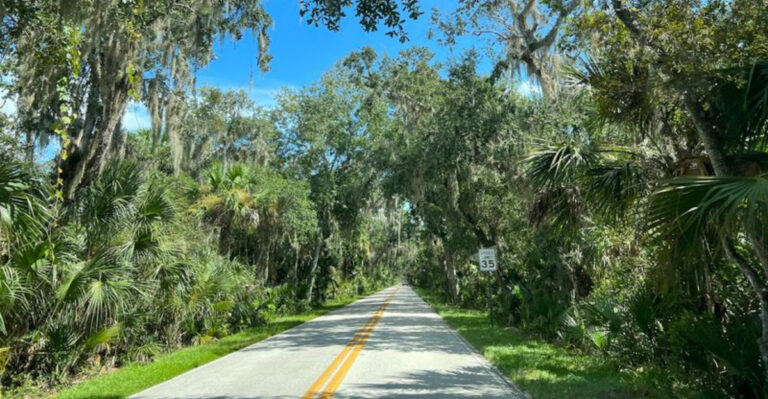9 Drop-Dead Gorgeous Roads in Florida That’ll Make Your Camera Work Overtime