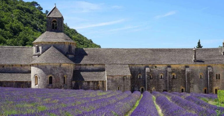 9 Lavender And Sunflower Farms In Florida Worth Every Mile Of A Country Drive