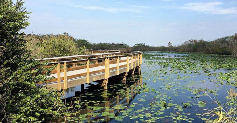 9 Of The Most Beautiful Spring Destinations In Florida