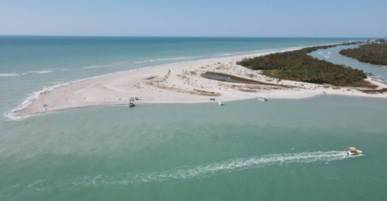 A Hidden Florida Beach Where Shark Teeth Wash Up Like Tiny Treasures