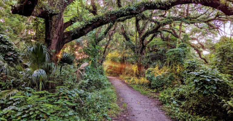 I Can’t Believe More People Don’t Know About This Florida Hiking Trail