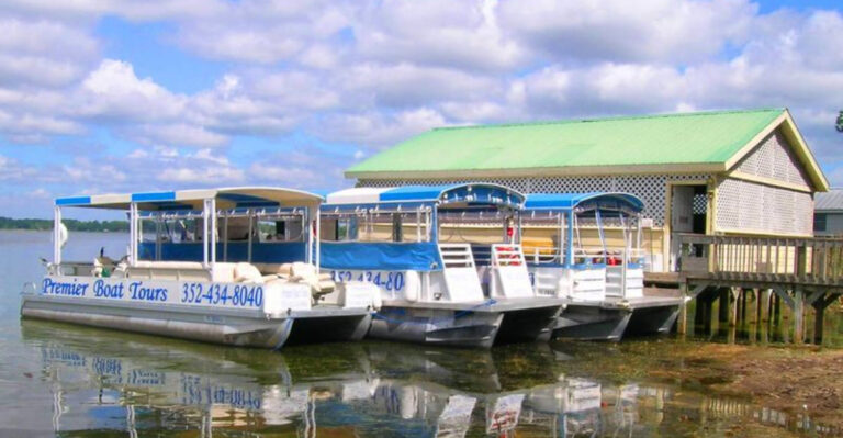 I Found A Quiet Boat Tour In Florida Where Ancient Cypress Trees Rise From The Water