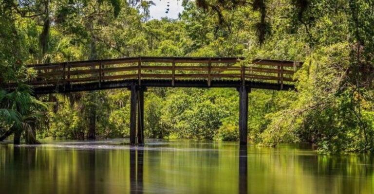 Just 30 Minutes From Tampa, One of Florida’s Most Underrated Parks Is Hiding in Plain Sight