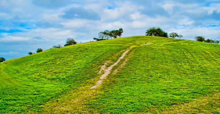 Most People Have No Idea This South Florida Hike Leads To One Of The Region’s Highest Points