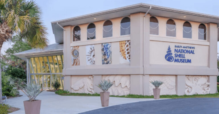 One Of The World’s Best Shell Collections Is Hiding In This Florida Museum