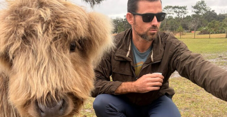 Sip, Paint, and Meet Fluffy Cows at This Tiny Ranch Near Orlando