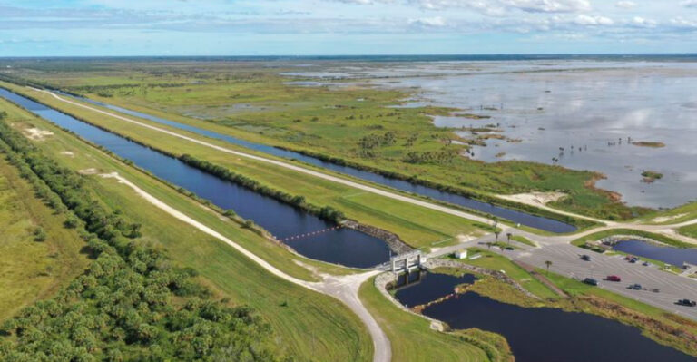 The Best Free Wildlife Gem In Florida You’ve Probably Never Heard Of