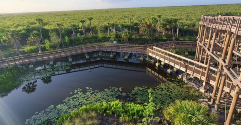 The Everglades Just Got a New Elevated Boardwalk, and It’s Completely Free to Visit