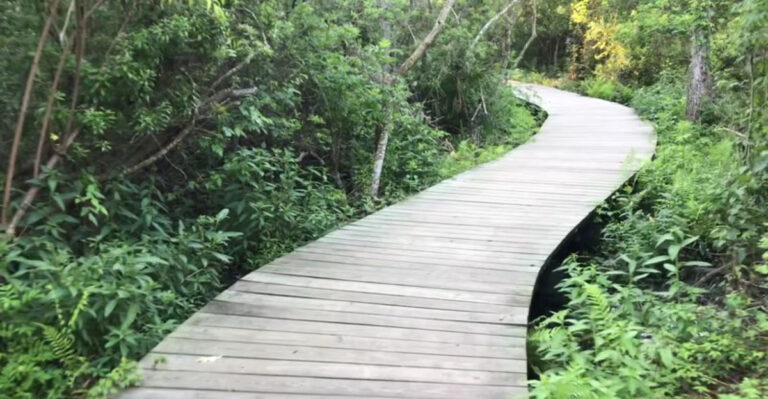 There’s A Hidden Walking Path In Florida That Locals Don’t Want Tourists To Find