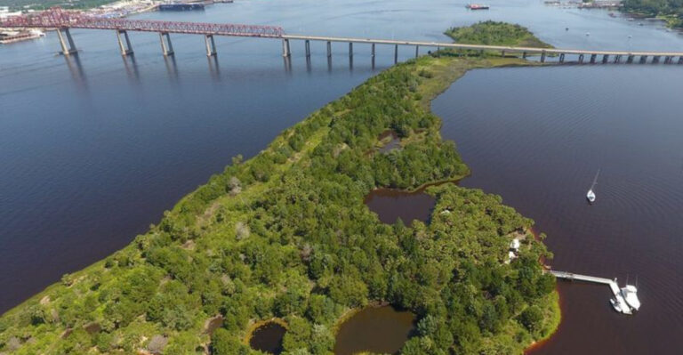 There’s A Secret Florida Island Park Is Hiding Right Under The Mathews Bridge