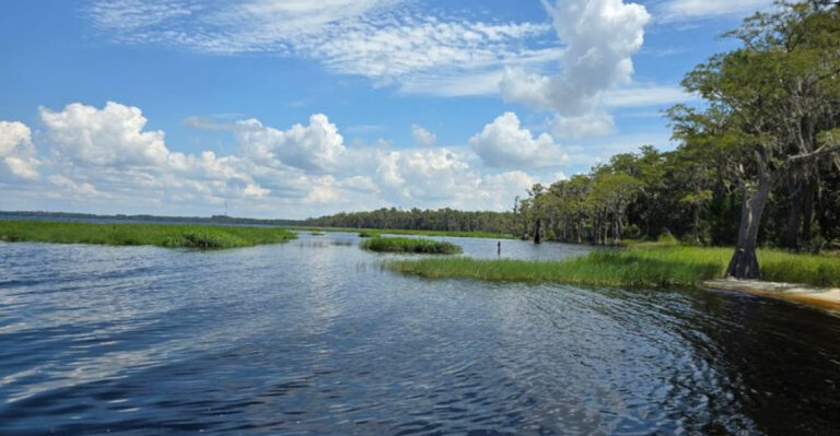 These 10 Hidden Florida Lakeside Beaches Feel Like Your Own Private Escape