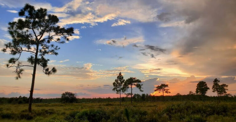 These 11 Secret Florida Spots Are Hiding in Plain Sight