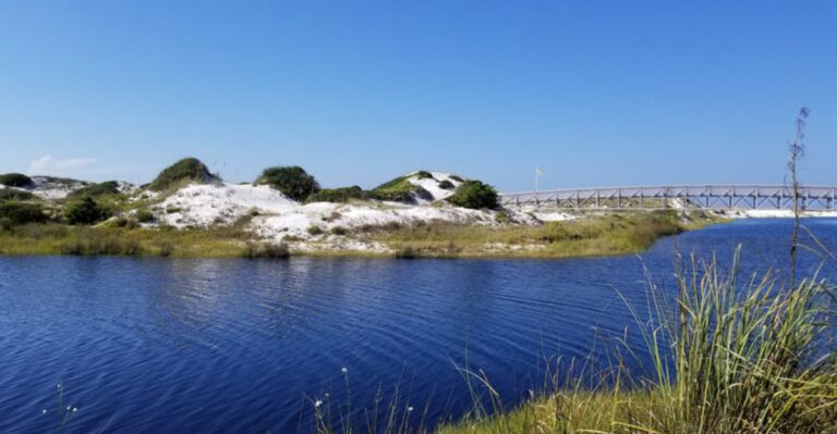 These Otherworldly Sand Dunes In Florida’s Santa Rosa Beach Are Perfect For A Family Outing