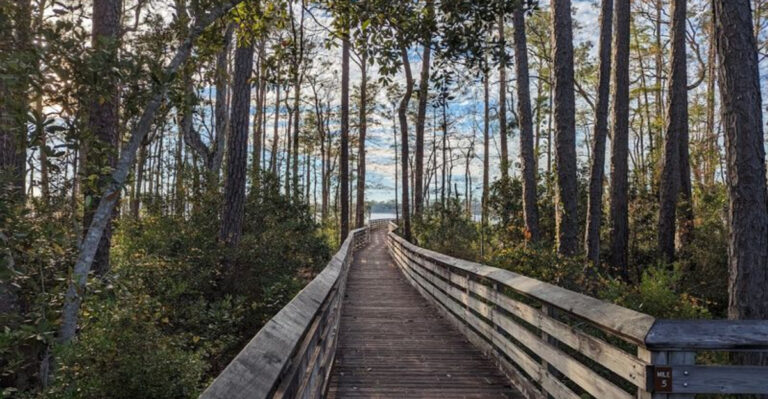 This 4,290-Acre Florida State Park Is Somehow Still Flying Under The Radar