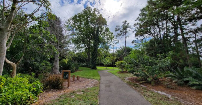 This Broward Arboretum Is the Quiet Little Escape You’ll Want to Keep to Yourself