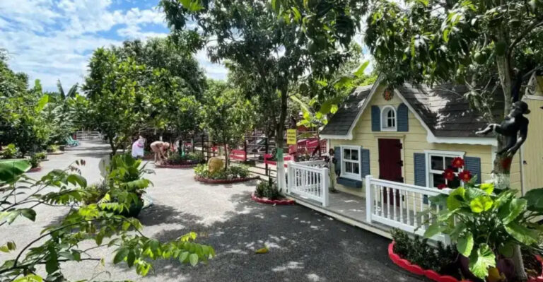 This Delray Beach Strawberry Patch Has U-Pick Berries, Highland Cows, And The Sweetest Family Fun