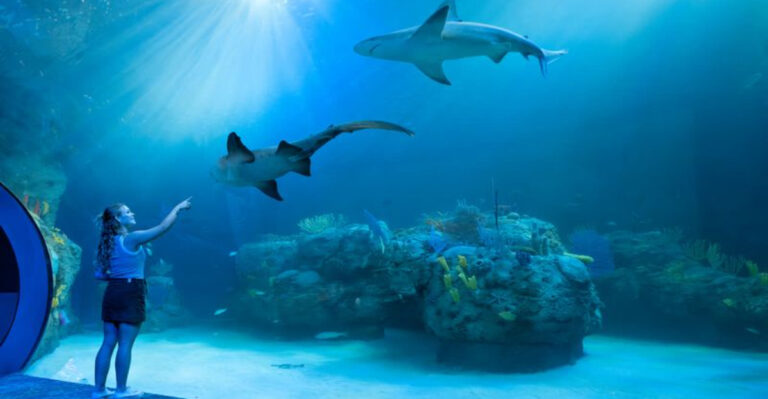This Florida Aquarium Lets Families Peek Inside the Ocean Science Most Visitors Never See