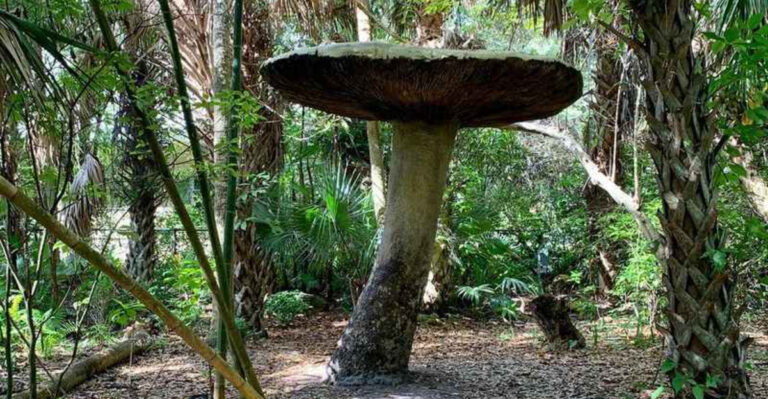 This Florida Garden Has Giant Mushrooms, Storybook Vibes, and Serious Hidden Gem Energy
