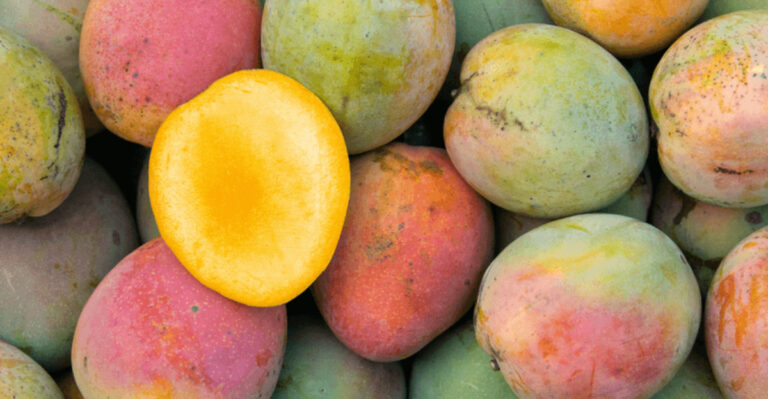 This Florida Mango Festival Is A Juicy Summer Celebration Of The State’s Sweetest Obsession