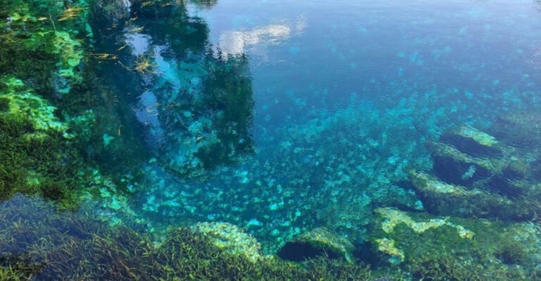 This Florida River Is So Transparent It Makes Every Other River Look Cloudy