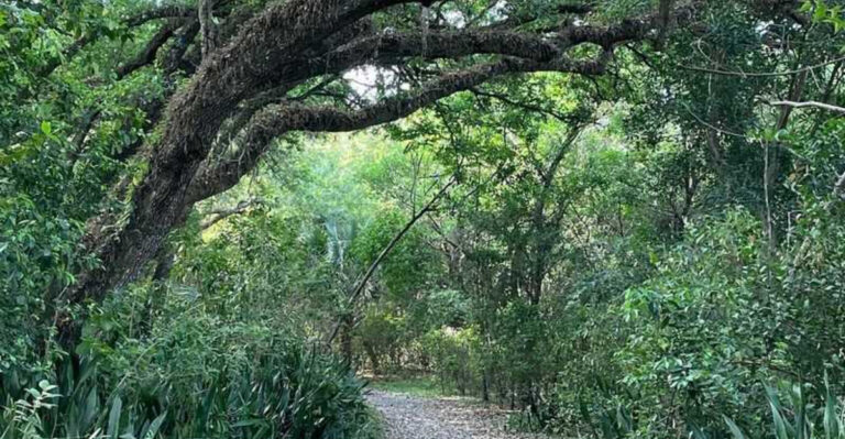 This Is Your Sign to Visit The Dreamiest Tree-Filled Park in Florida