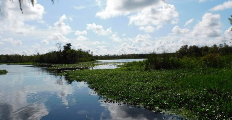This Unique Island In Florida Is So Little Known, It Feels Like Florida’s Best-Kept Secret