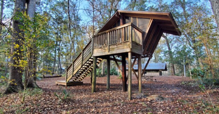 We Found The Cutest Florida Treehouse Stay, And It’s Only $35 A Night