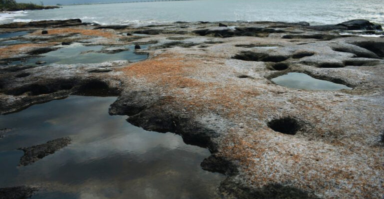 We Just Found The Most Unique Beach In Florida