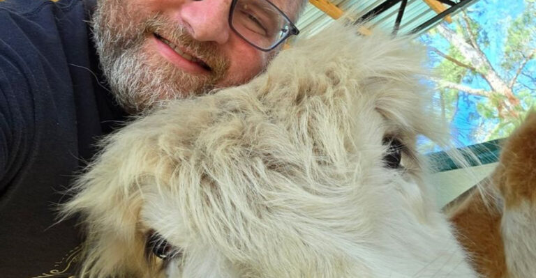 You Can Visit Fluffy Scottish Highland Cows and Goats Just 1 Hour From Jacksonville